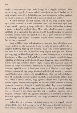 Image of the Page - 454 - in Az Osztrák-Magyar Monarchia írásban és képben - Bécs és Alsó-Ausztria (Alsó-Ausztria), Volume 4