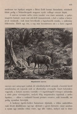 Image of the Page - 455 - in Az Osztrák-Magyar Monarchia írásban és képben - Bécs és Alsó-Ausztria (Alsó-Ausztria), Volume 4