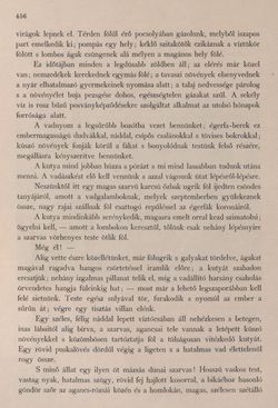 Image of the Page - 456 - in Az Osztrák-Magyar Monarchia írásban és képben - Bécs és Alsó-Ausztria (Alsó-Ausztria), Volume 4