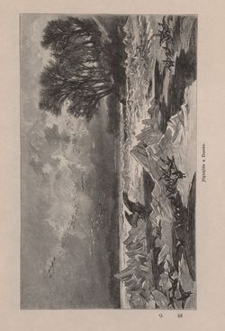 Image of the Page - 457 - in Az Osztrák-Magyar Monarchia írásban és képben - Bécs és Alsó-Ausztria (Alsó-Ausztria), Volume 4