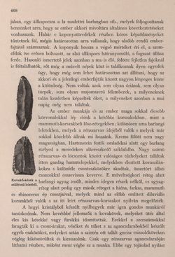 Image of the Page - 468 - in Az Osztrák-Magyar Monarchia írásban és képben - Bécs és Alsó-Ausztria (Alsó-Ausztria), Volume 4