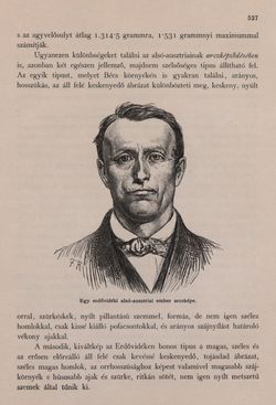 Image of the Page - 527 - in Az Osztrák-Magyar Monarchia írásban és képben - Bécs és Alsó-Ausztria (Alsó-Ausztria), Volume 4