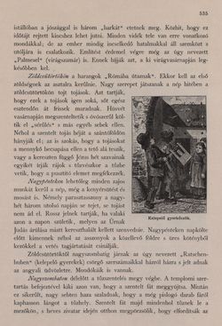 Image of the Page - 535 - in Az Osztrák-Magyar Monarchia írásban és képben - Bécs és Alsó-Ausztria (Alsó-Ausztria), Volume 4