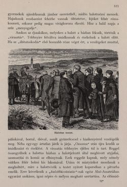 Image of the Page - 571 - in Az Osztrák-Magyar Monarchia írásban és képben - Bécs és Alsó-Ausztria (Alsó-Ausztria), Volume 4