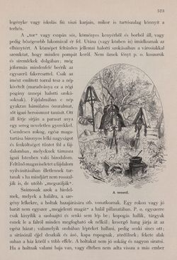 Bild der Seite - 573 - in Az Osztrák-Magyar Monarchia írásban és képben - Bécs és Alsó-Ausztria (Alsó-Ausztria), Band 4