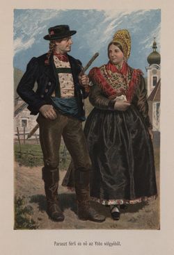 Bild der Seite - (00000241) - in Az Osztrák-Magyar Monarchia írásban és képben - Bécs és Alsó-Ausztria (Alsó-Ausztria), Band 4