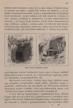 Image of the Page - 657 - in Az Osztrák-Magyar Monarchia írásban és képben - Bécs és Alsó-Ausztria (Alsó-Ausztria), Volume 4