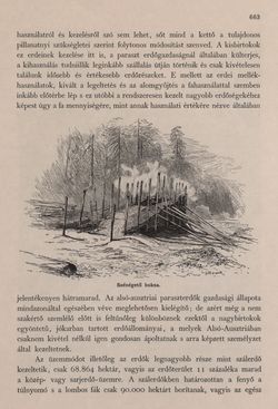 Image of the Page - 663 - in Az Osztrák-Magyar Monarchia írásban és képben - Bécs és Alsó-Ausztria (Alsó-Ausztria), Volume 4