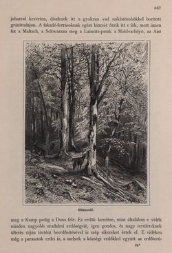 Image of the Page - 667 - in Az Osztrák-Magyar Monarchia írásban és képben - Bécs és Alsó-Ausztria (Alsó-Ausztria), Volume 4