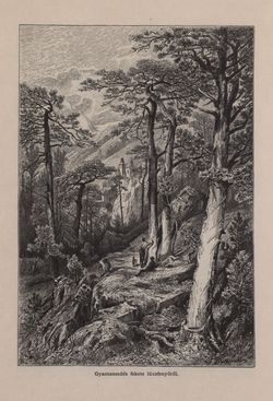 Image of the Page - 669 - in Az Osztrák-Magyar Monarchia írásban és képben - Bécs és Alsó-Ausztria (Alsó-Ausztria), Volume 4