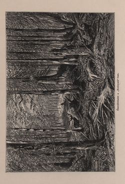 Image of the Page - 671 - in Az Osztrák-Magyar Monarchia írásban és képben - Bécs és Alsó-Ausztria (Alsó-Ausztria), Volume 4