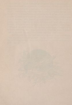Image of the Page - (00000358) - in Az Osztrák-Magyar Monarchia írásban és képben - Bécs és Alsó-Ausztria (Alsó-Ausztria), Volume 4