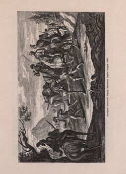 Image of the Page - 215 - in Az Osztrák-Magyar Monarchia írásban és képben - Magyarország I (1), Volume 5/1