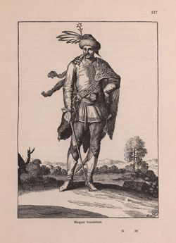 Bild der Seite - 217 - in Az Osztrák-Magyar Monarchia írásban és képben - Magyarország I (1), Band 5/1