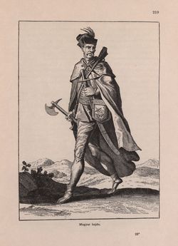 Bild der Seite - 219 - in Az Osztrák-Magyar Monarchia írásban és képben - Magyarország I (1), Band 5/1