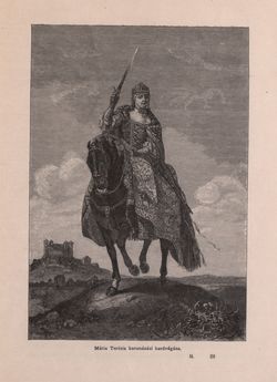 Image of the Page - 225 - in Az Osztrák-Magyar Monarchia írásban és képben - Magyarország I (1), Volume 5/1