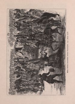 Image of the Page - 229 - in Az Osztrák-Magyar Monarchia írásban és képben - Magyarország I (1), Volume 5/1
