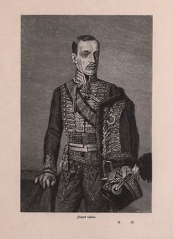 Image of the Page - 257 - in Az Osztrák-Magyar Monarchia írásban és képben - Magyarország I (1), Volume 5/1