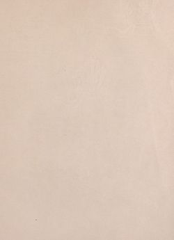 Image of the Page - (00000295) - in Az Osztrák-Magyar Monarchia írásban és képben - Magyarország I (1), Volume 5/1