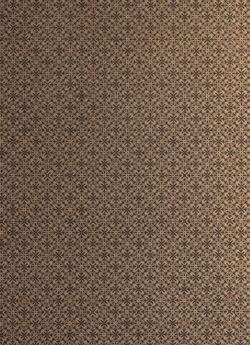 Image of the Page - (eh00003) - in Az Osztrák-Magyar Monarchia írásban és képben - Magyarország I (1), Volume 5/1