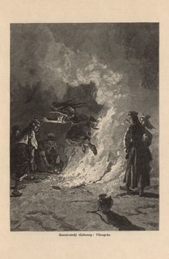 Bild der Seite - 309 - in Az Osztrák-Magyar Monarchia írásban és képben - Magyarország I (2), Band 5/2