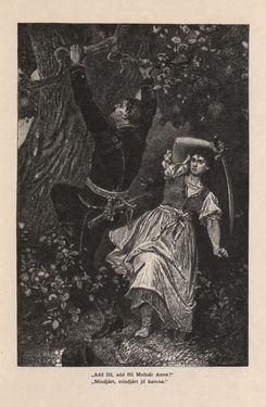 Bild der Seite - 357 - in Az Osztrák-Magyar Monarchia írásban és képben - Magyarország I (2), Band 5/2