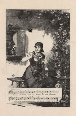 Bild der Seite - 381 - in Az Osztrák-Magyar Monarchia írásban és képben - Magyarország I (2), Band 5/2