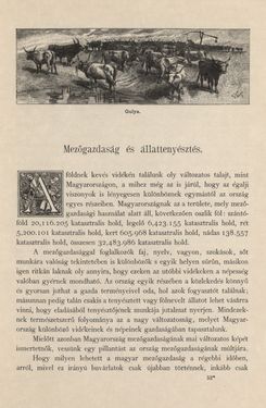 Bild der Seite - 411 - in Az Osztrák-Magyar Monarchia írásban és képben - Magyarország I (2), Band 5/2