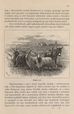 Image of the Page - 417 - in Az Osztrák-Magyar Monarchia írásban és képben - Magyarország I (2), Volume 5/2