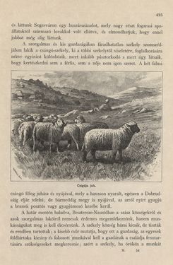 Image of the Page - 425 - in Az Osztrák-Magyar Monarchia írásban és képben - Magyarország I (2), Volume 5/2