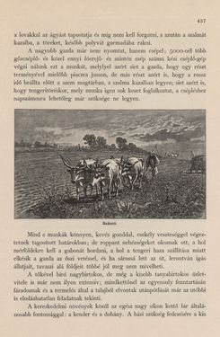 Bild der Seite - 437 - in Az Osztrák-Magyar Monarchia írásban és képben - Magyarország I (2), Band 5/2
