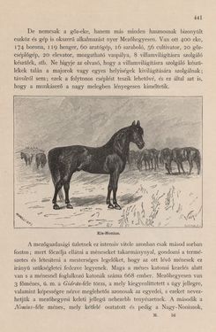 Image of the Page - 441 - in Az Osztrák-Magyar Monarchia írásban és képben - Magyarország I (2), Volume 5/2