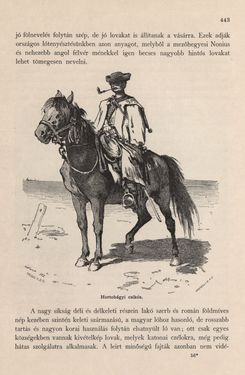 Image of the Page - 443 - in Az Osztrák-Magyar Monarchia írásban és képben - Magyarország I (2), Volume 5/2