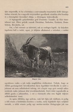 Image of the Page - 445 - in Az Osztrák-Magyar Monarchia írásban és képben - Magyarország I (2), Volume 5/2