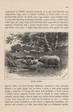 Image of the Page - 447 - in Az Osztrák-Magyar Monarchia írásban és képben - Magyarország I (2), Volume 5/2