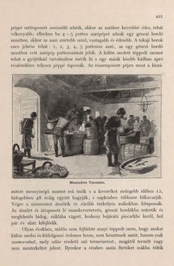 Image of the Page - 455 - in Az Osztrák-Magyar Monarchia írásban és képben - Magyarország I (2), Volume 5/2