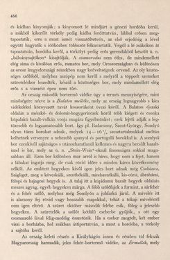 Image of the Page - 456 - in Az Osztrák-Magyar Monarchia írásban és képben - Magyarország I (2), Volume 5/2