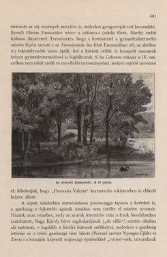 Image of the Page - 461 - in Az Osztrák-Magyar Monarchia írásban és képben - Magyarország I (2), Volume 5/2