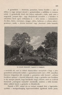 Bild der Seite - 463 - in Az Osztrák-Magyar Monarchia írásban és képben - Magyarország I (2), Band 5/2