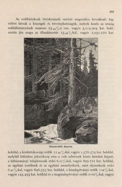 Bild der Seite - 485 - in Az Osztrák-Magyar Monarchia írásban és képben - Magyarország I (2), Band 5/2