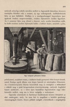Image of the Page - 493 - in Az Osztrák-Magyar Monarchia írásban és képben - Magyarország I (2), Volume 5/2