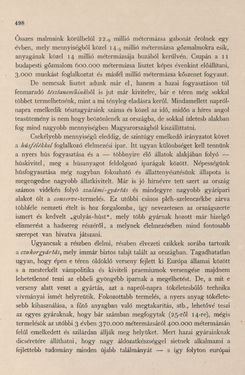 Image of the Page - 498 - in Az Osztrák-Magyar Monarchia írásban és képben - Magyarország I (2), Volume 5/2