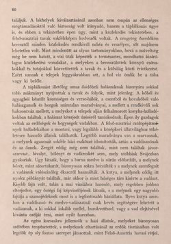 Image of the Page - 60 - in Az Osztrák-Magyar Monarchia írásban és képben - Felsö-Ausztria ès Salzburg (Felsö-Ausztria), Volume 6/1