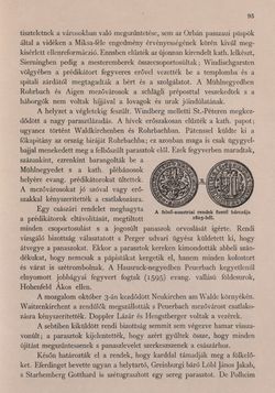 Image of the Page - 95 - in Az Osztrák-Magyar Monarchia írásban és képben - Felsö-Ausztria ès Salzburg (Felsö-Ausztria), Volume 6/1