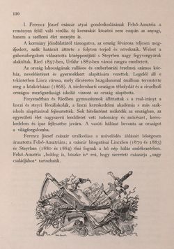 Bild der Seite - 110 - in Az Osztrák-Magyar Monarchia írásban és képben - Felsö-Ausztria ès Salzburg (Felsö-Ausztria), Band 6/1