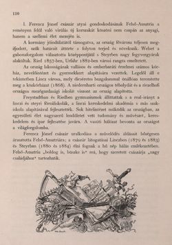 Image of the Page - 110 - in Az Osztrák-Magyar Monarchia írásban és képben - Felsö-Ausztria ès Salzburg (Felsö-Ausztria), Volume 6/1