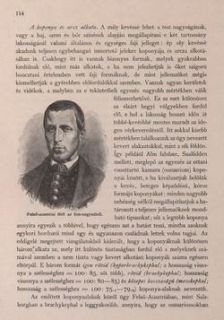 Bild der Seite - 114 - in Az Osztrák-Magyar Monarchia írásban és képben - Felsö-Ausztria ès Salzburg (Felsö-Ausztria), Band 6/1