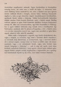 Bild der Seite - 118 - in Az Osztrák-Magyar Monarchia írásban és képben - Felsö-Ausztria ès Salzburg (Felsö-Ausztria), Band 6/1
