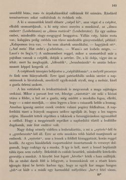 Bild der Seite - 163 - in Az Osztrák-Magyar Monarchia írásban és képben - Felsö-Ausztria ès Salzburg (Felsö-Ausztria), Band 6/1