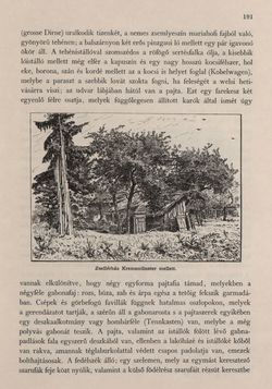Bild der Seite - 191 - in Az Osztrák-Magyar Monarchia írásban és képben - Felsö-Ausztria ès Salzburg (Felsö-Ausztria), Band 6/1